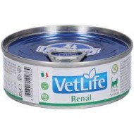 VET LIFE CAT RENAL 85G