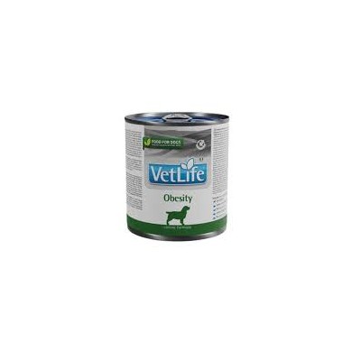 VET LIFE NAT DIET DOG OBES300G