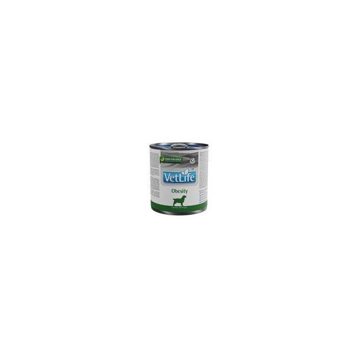 VET LIFE NAT DIET DOG OBES300G