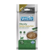 CREAM OBESITY