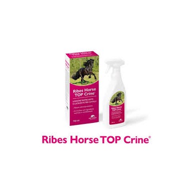 RIBES HORSE TOP CRINE LOZIONE