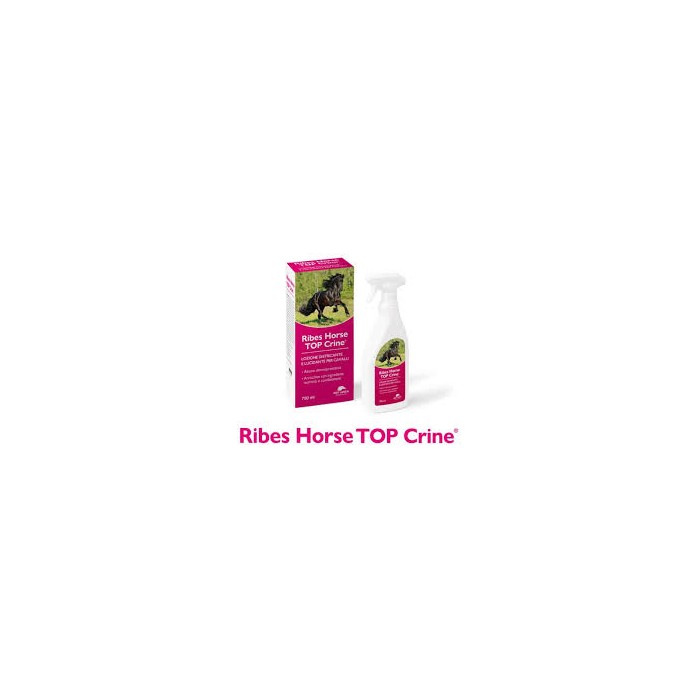 RIBES HORSE TOP CRINE LOZIONE