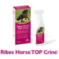 RIBES HORSE TOP CRINE LOZIONE