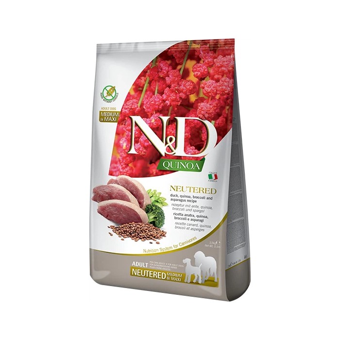 N&D QUI DOG N/A/B/A AD M/MX2,5