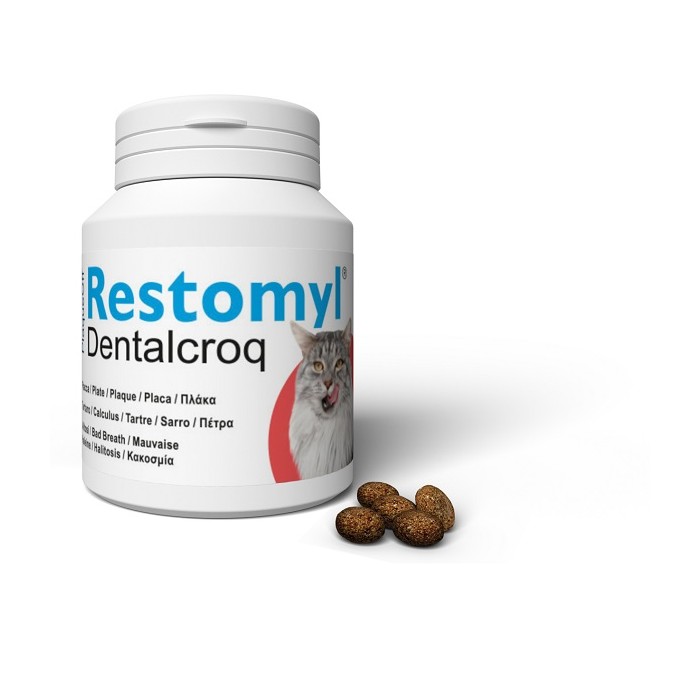 RESTOMYL DENTALCROQ GATTO 60G