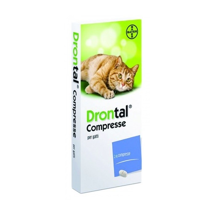 DRONTAL*24CPR GATTO