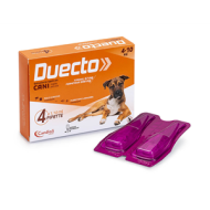 DUECTO*4PIP 4-10KG CANI