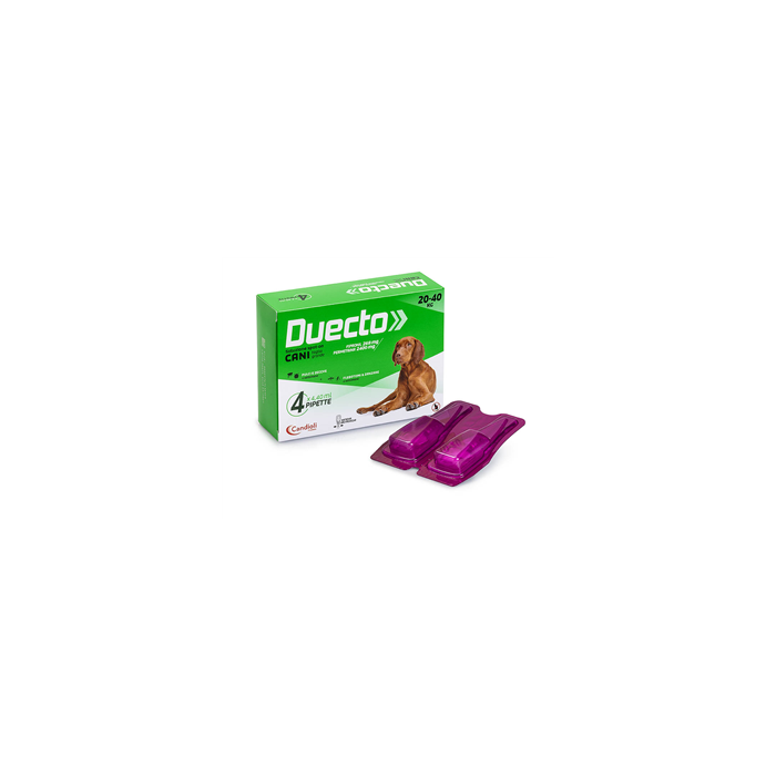 DUECTO*4PIP 20-40KG CANI