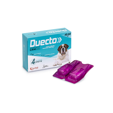 DUECTO*4PIP 40-60KG CANI