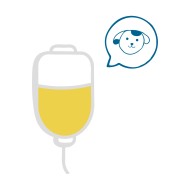 Plasma Fresco Congelato - Cane - Grande