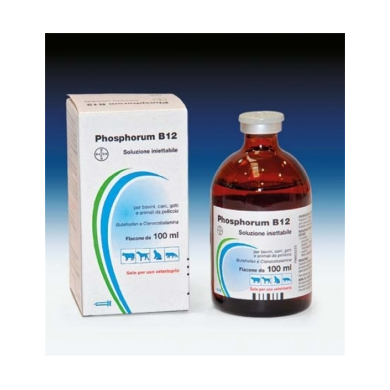 PHOSPHORUM B12*INIET FL 100ML