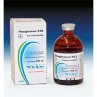 PHOSPHORUM B12*INIET FL 100ML