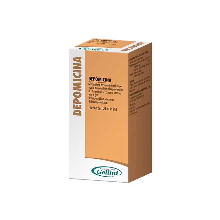 DEPOMICINA*SOSP INIET FL 100ML