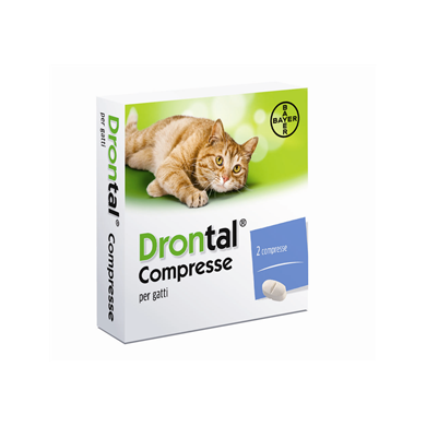 DRONTAL*2CPR GATTO