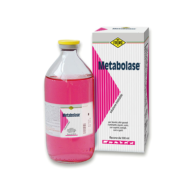 METABOLASE*INIET FL 500ML