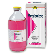 METABOLASE*INIET FL 500ML