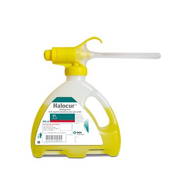 HALOCUR*FL 490ML 0,5MG/ML
