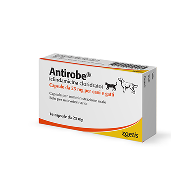 ANTIROBE*16CPS 25MG