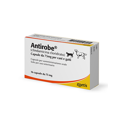 ANTIROBE*16CPS 75MG