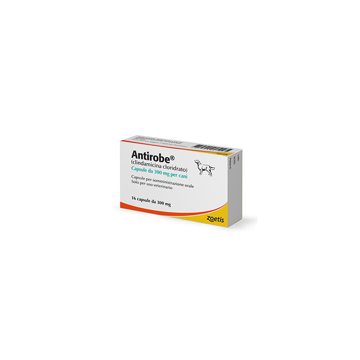 ANTIROBE*16CPS 300MG