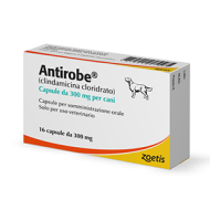ANTIROBE*16CPS 300MG