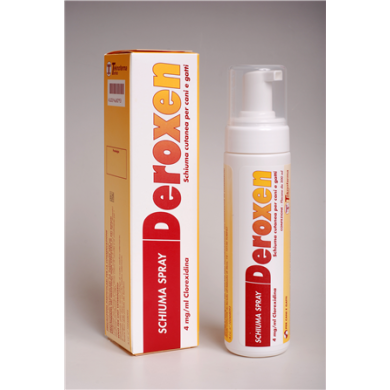 DEROXEN*SPRAY SCHIUMA FL 200ML