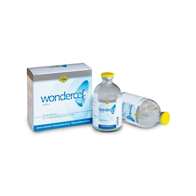 WONDERCEF*FL 4G+FL 80ML