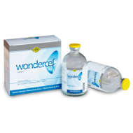 WONDERCEF*FL 4G+FL 80ML