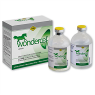 WONDERCEF*FL 4G+FL 80ML EQUINI