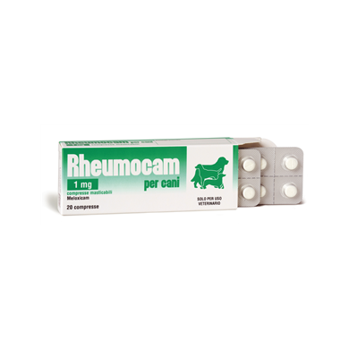 RHEUMOCAM*20CPR MAST 1MG