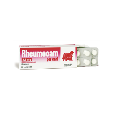 RHEUMOCAM*20CPR MAST 2,5MG