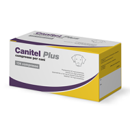 CANITEL PLUS*104CPR