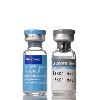 LEUCOFELIGEN FELV/RCP*10F+10F