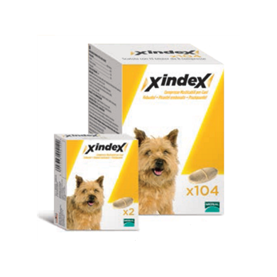 XINDEX*104CPR MAST CANI