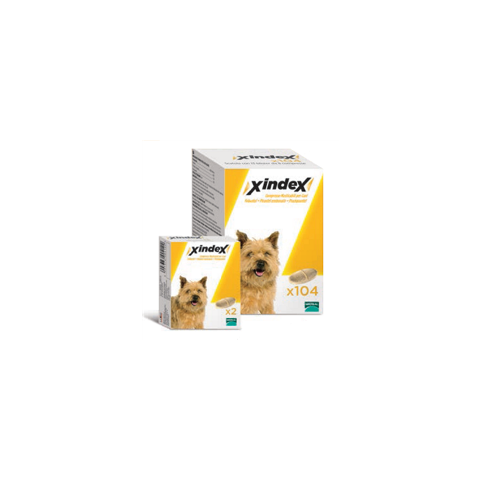 XINDEX*104CPR MAST CANI