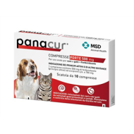 PANACUR*FORTE 10CPR 500MG