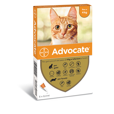 ADVOCATE SP*6PIP 4KG GATTI/FU