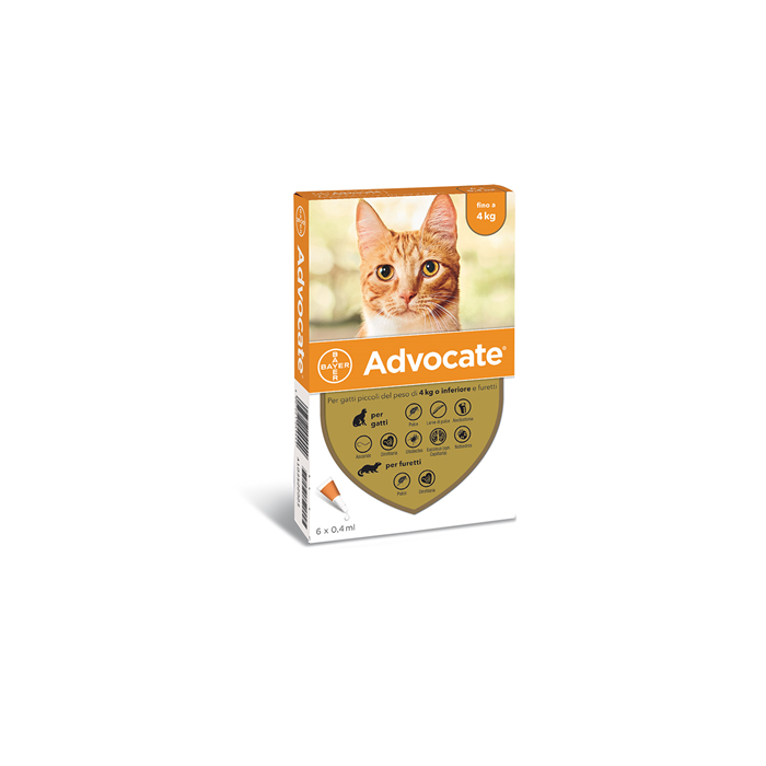 ADVOCATE SP*6PIP 4KG GATTI/FU