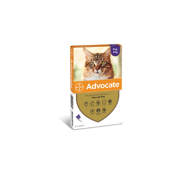 ADVOCATE SP*6PIP 4-8KG GATTI