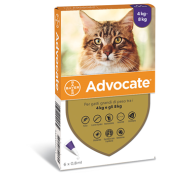 ADVOCATE SP*6PIP 4-8KG GATTI