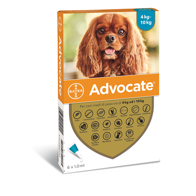 ADVOCATE SP*6PIP 4-10KG CANI