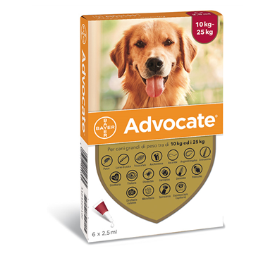 ADVOCATE SP*6PIP 10-25KG CANI