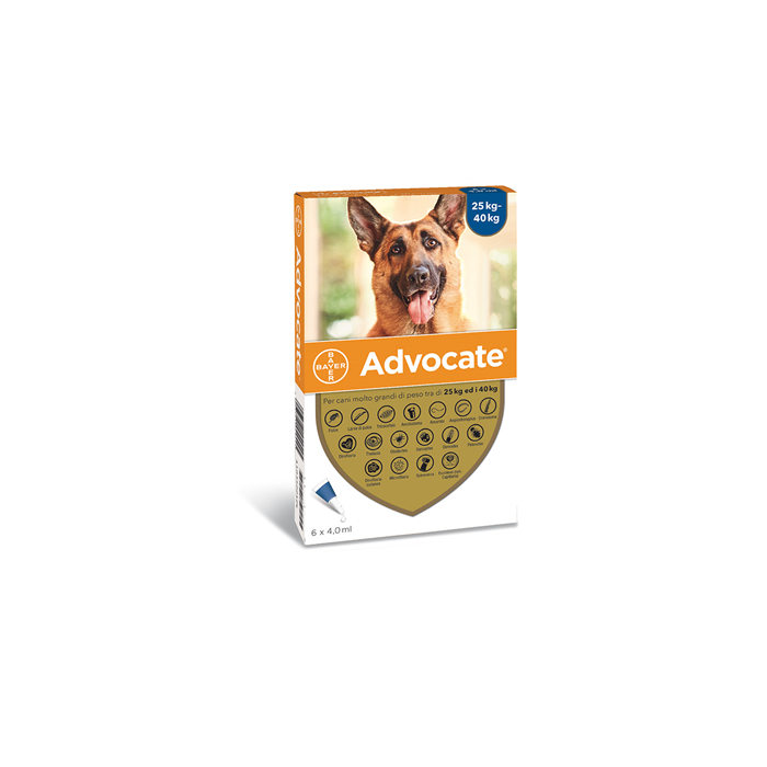 ADVOCATE SP*6PIP 25-40KG CANI