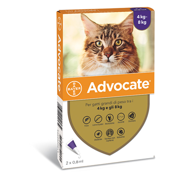 ADVOCATE SP*2PIP 4-8KG GATTI