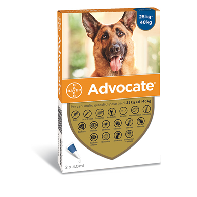 ADVOCATE SP*2PIP 25-40KG CANI