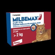 MILBEMAX*ROSSO 2CPR GATTI