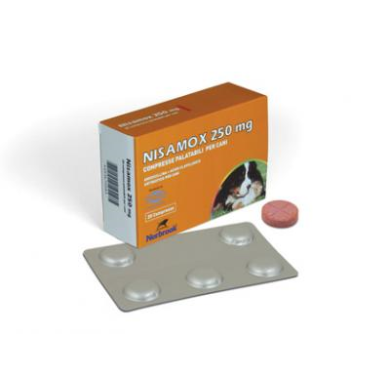 NISAMOX*20CPR 250MG