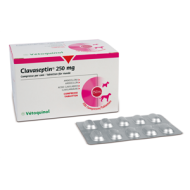 CLAVASEPTIN*100CPR 250MG