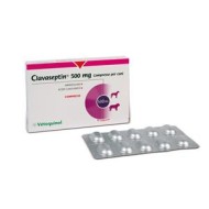 CLAVASEPTIN*10CPR 500MG