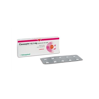 CLAVASEPTIN*10CPR 62,5MG